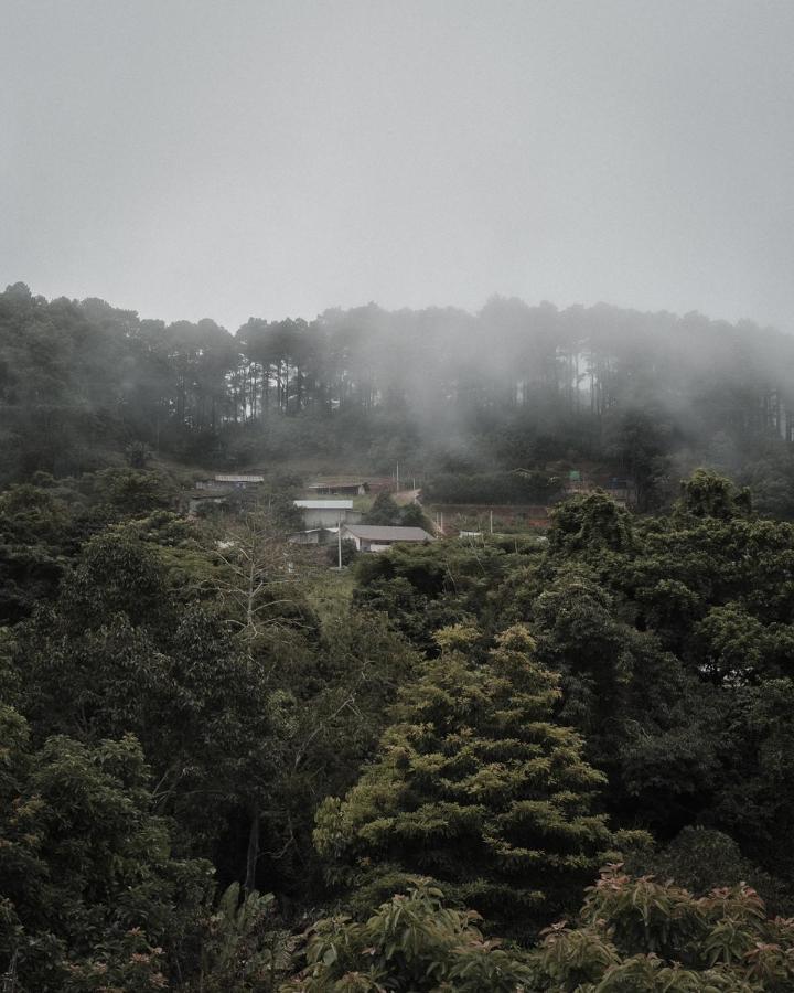 Phu Morinn Camping ม่อนแจ่ม Mon Jam Екстер'єр фото