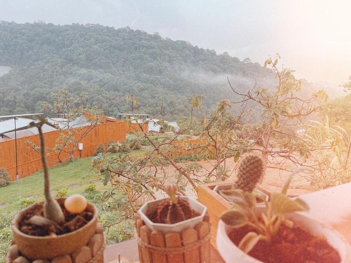 Phu Morinn Camping ม่อนแจ่ม Mon Jam Екстер'єр фото